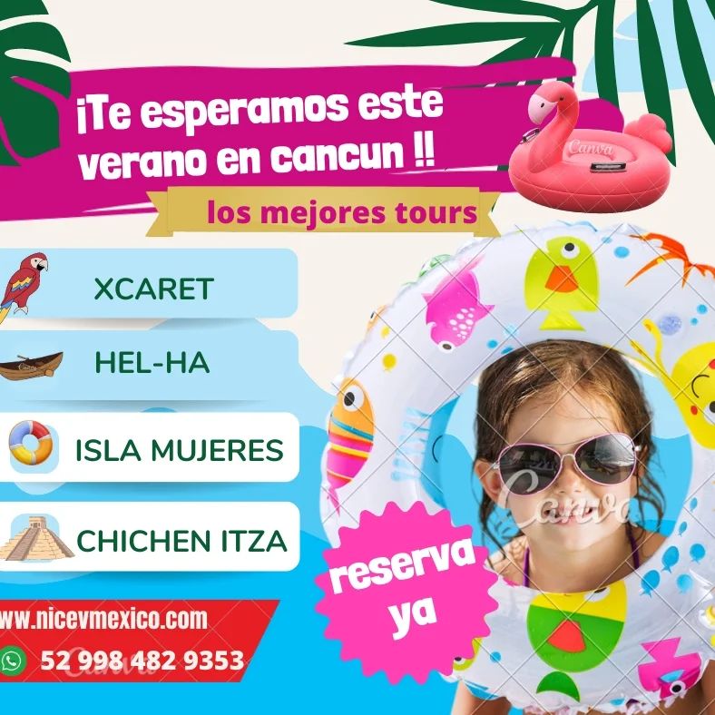 nice.vmexico_359801160_783735280128023_8203533556847303110_n